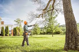 How Our Tree Care Process Works  in  Comanche, OK