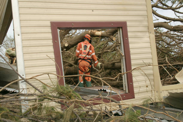 Best Tree Health Inspection  in Comanche, OK